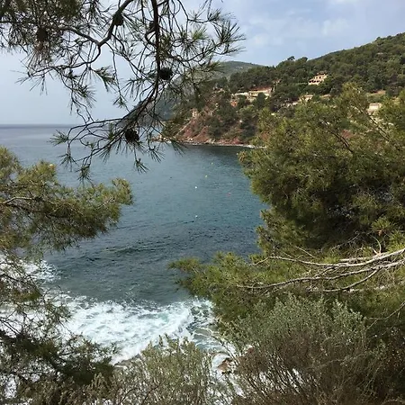 Baou Blue Seafront Villa